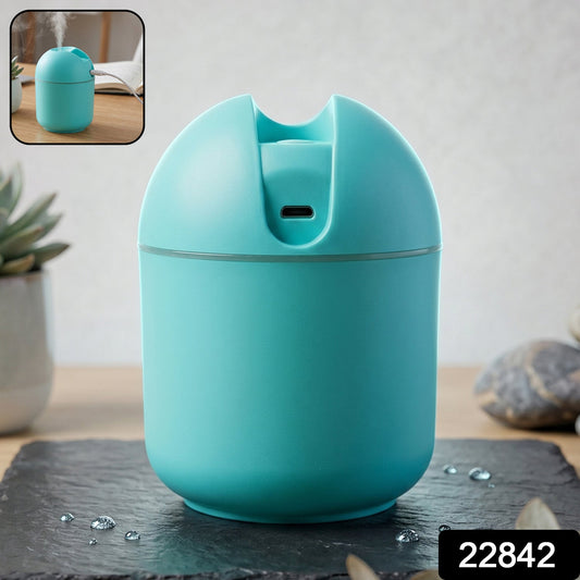 Mini USB Humidifier