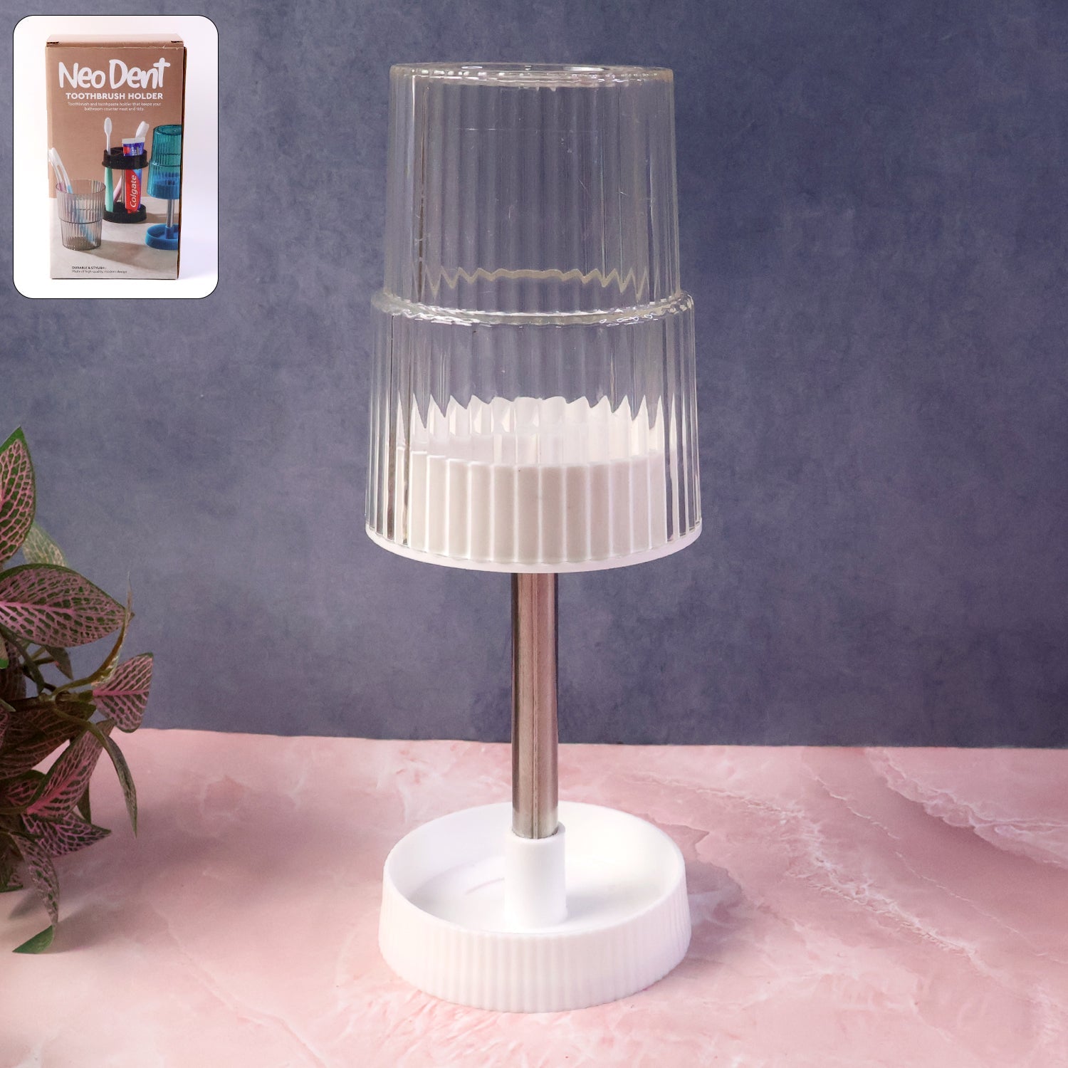 Toothbrush Stand