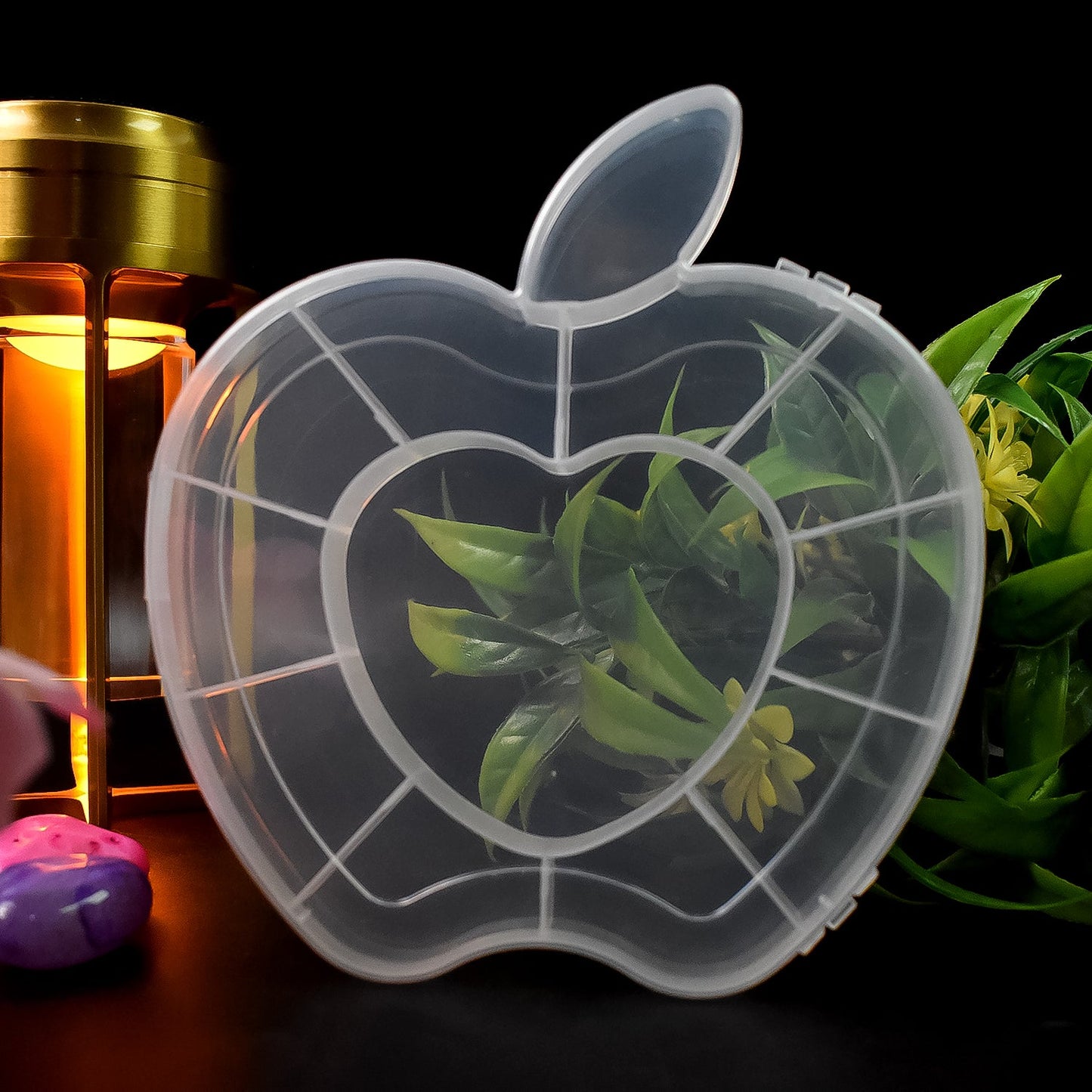 Plastic apple-shaped transparent jewellery storage box for small accessories India