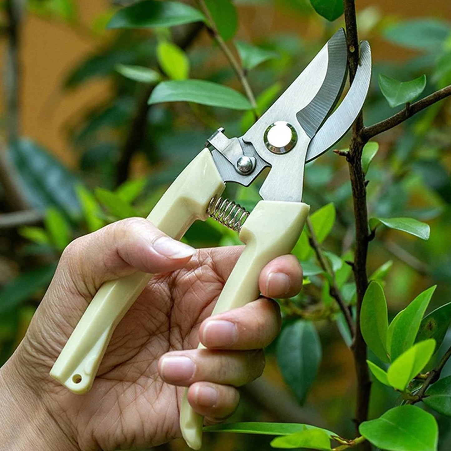 Plant Cutter for Home Garden, Wood Bran (1 Pc)