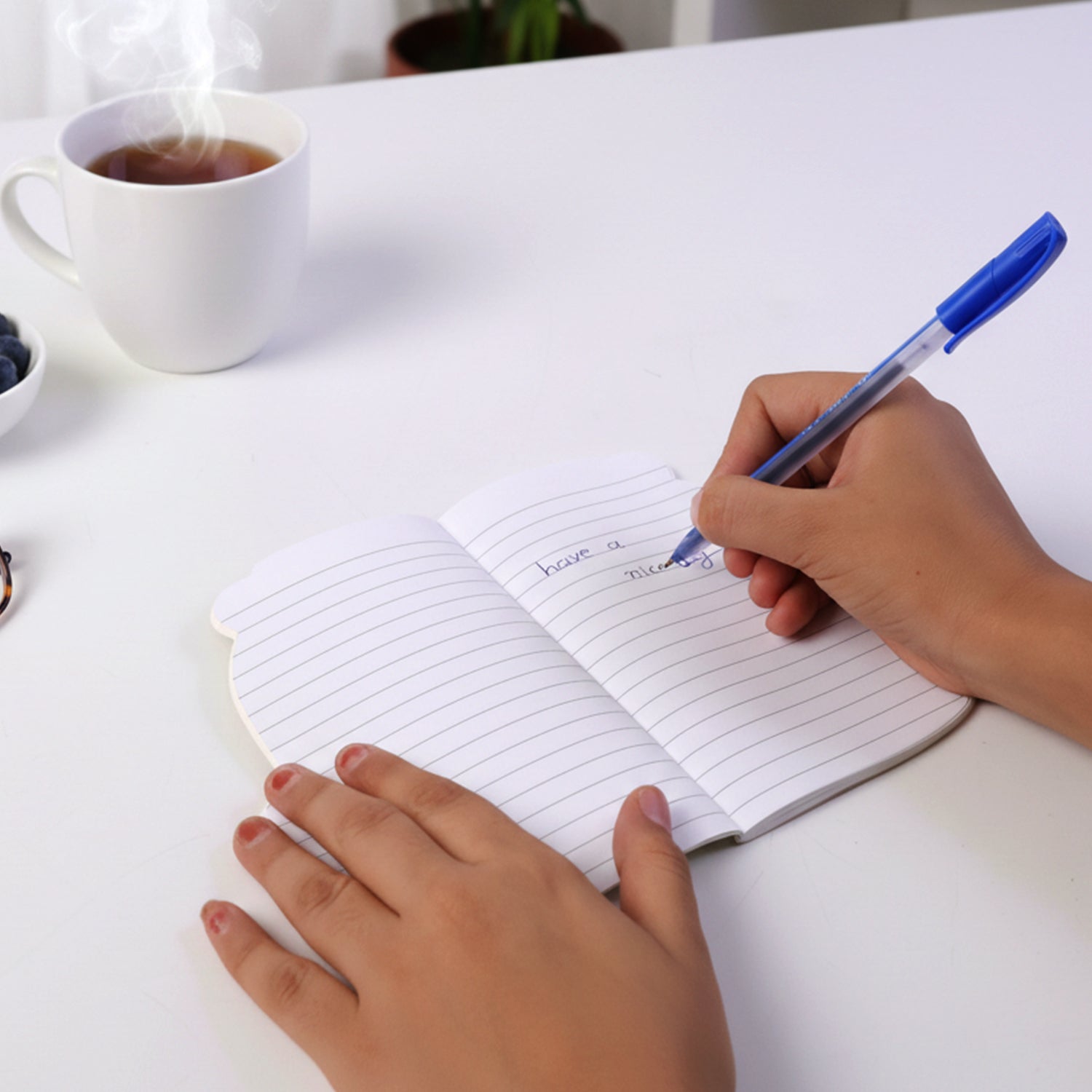 Colorful animal print notebook
