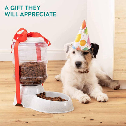Gravity pet food dispenser with large storage capacity for cats, dogs and small animals