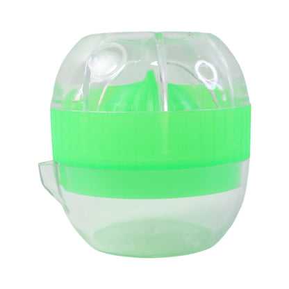 Fruit Juicer