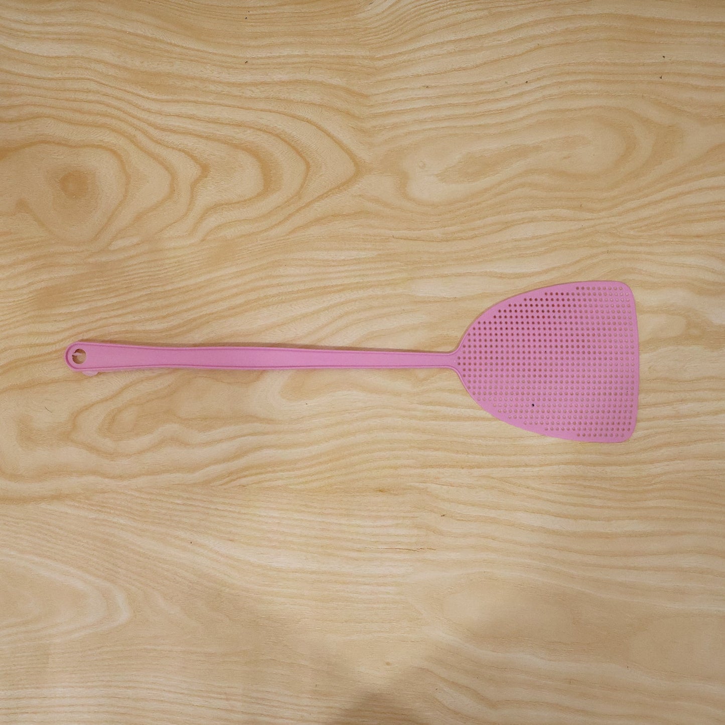 manual bug swatter tool