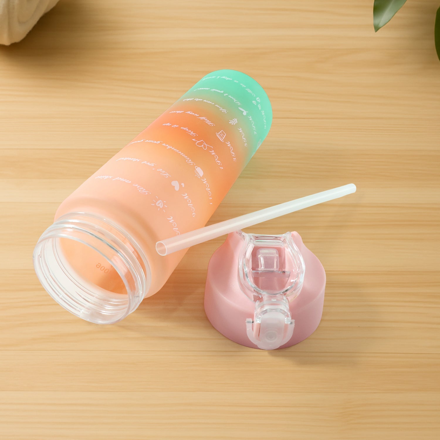 Drinking Water Bottle
