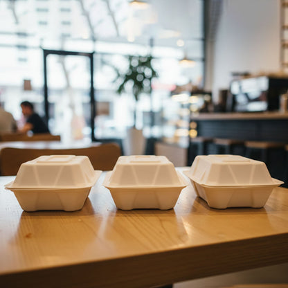 Compostable meal box 10pcs display