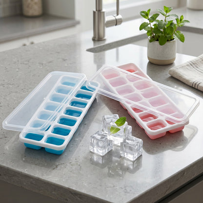 Mold Tray