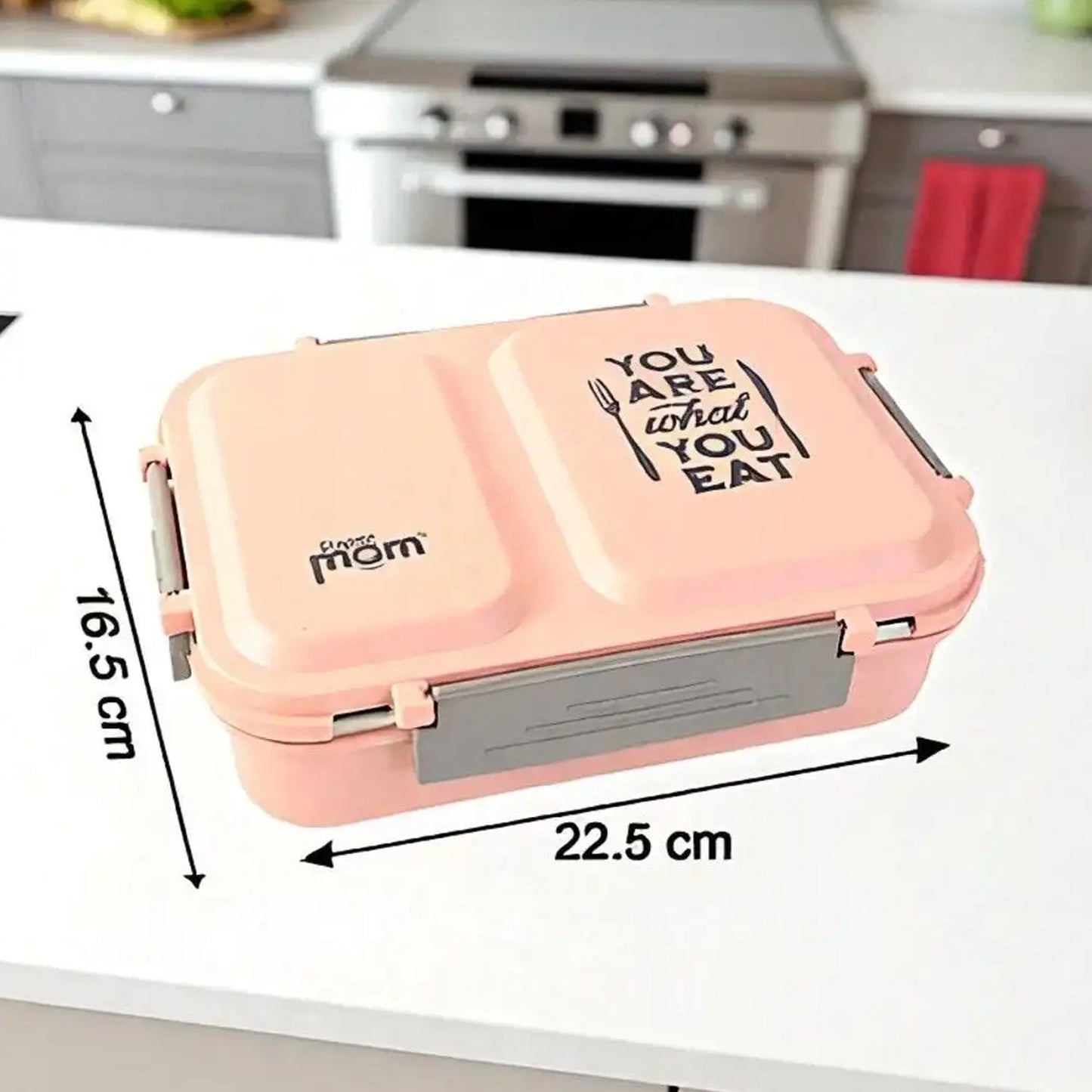 3-Compartment Stainless Steel Lunch Box (1 Pc)