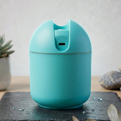 Portable Mist Humidifier
