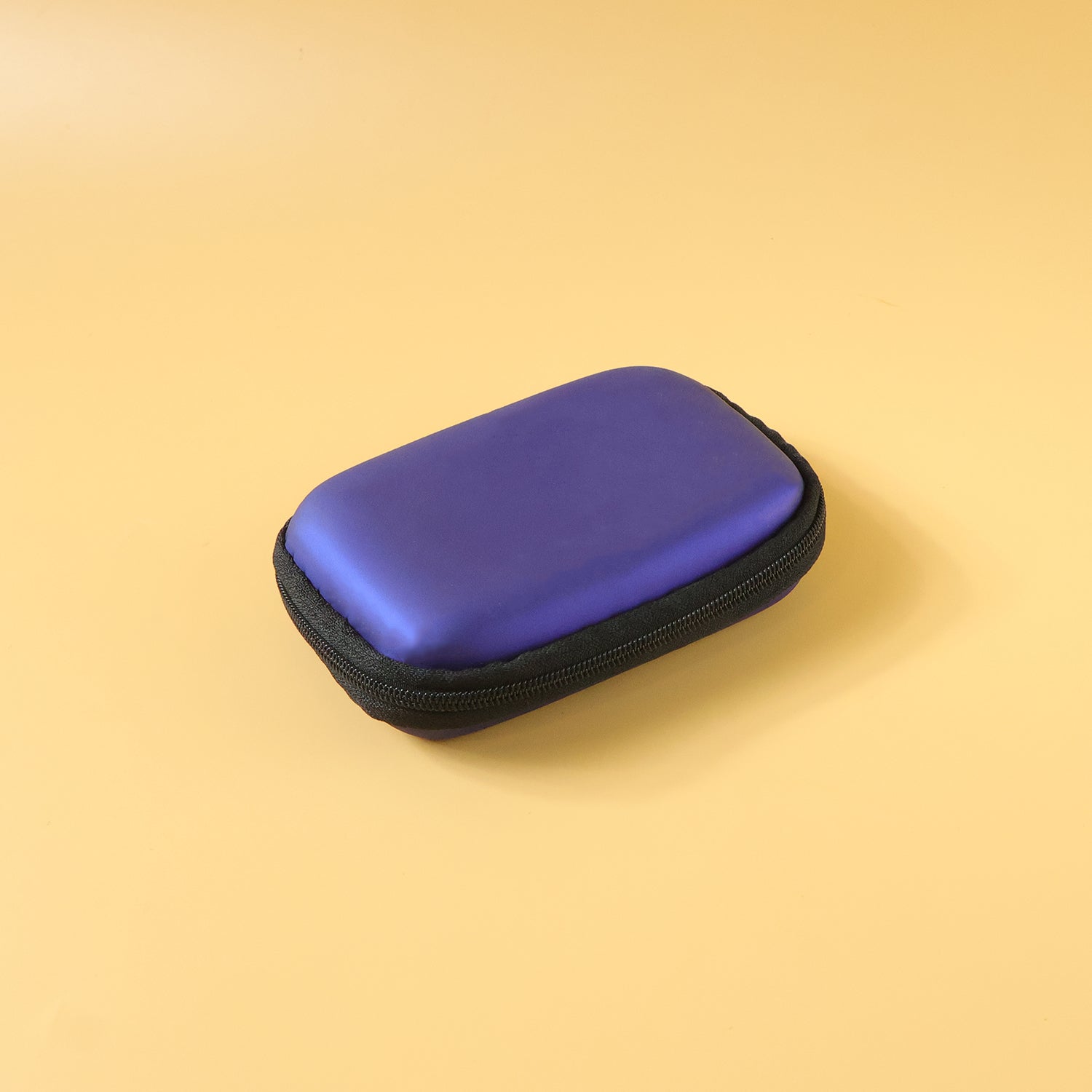 earbud organizer carry case